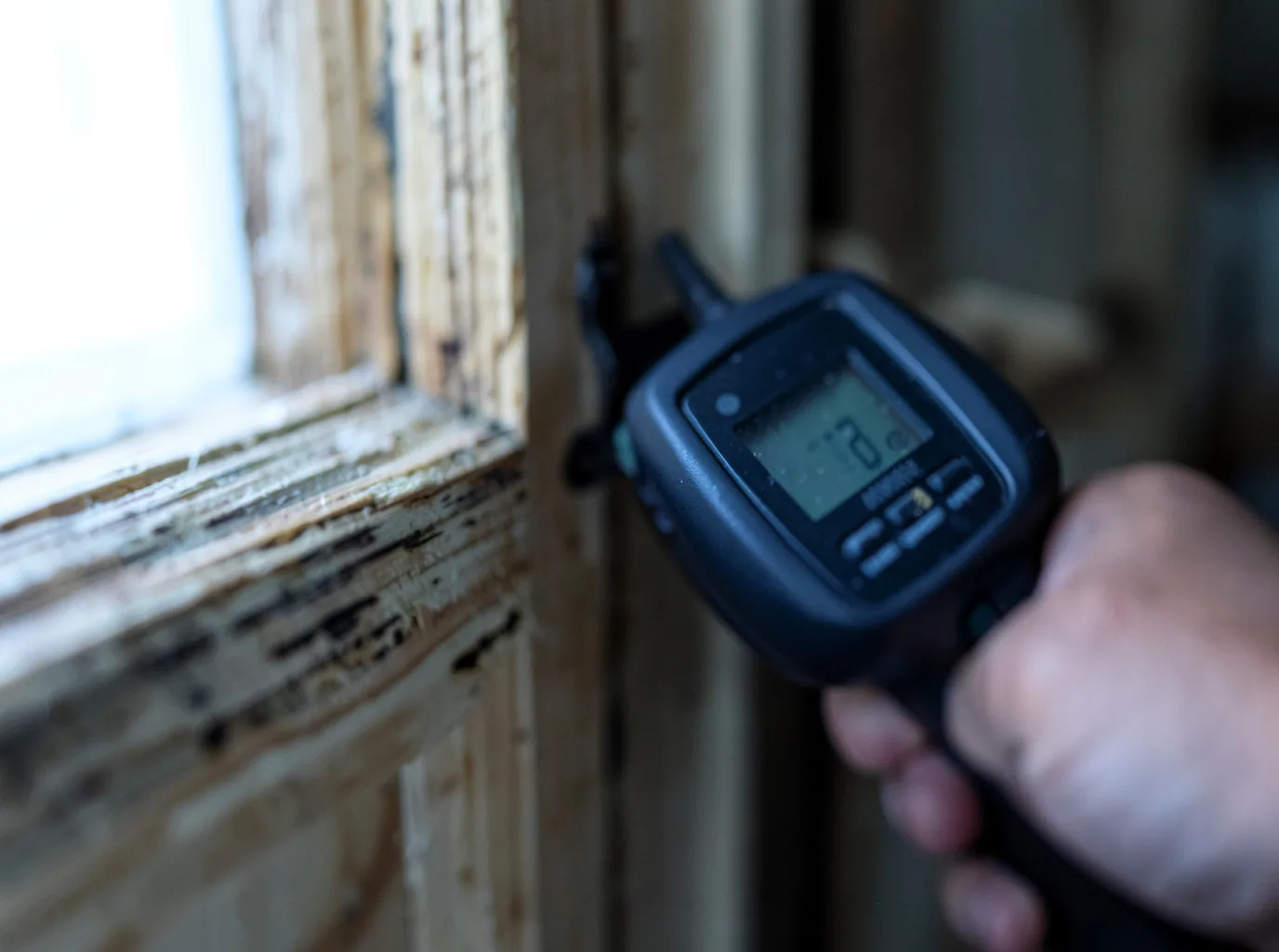 Moisture Inspection And Documentation in Lake Ozark, MO